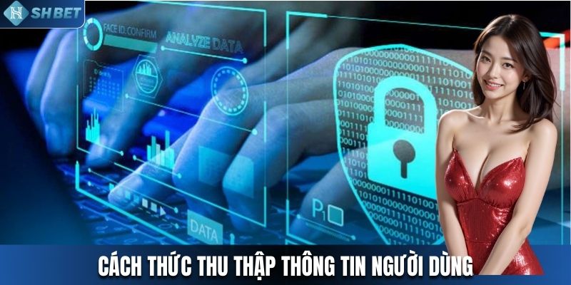 Cách thức nhà cái thu thập dữ liệu từ khách hàng